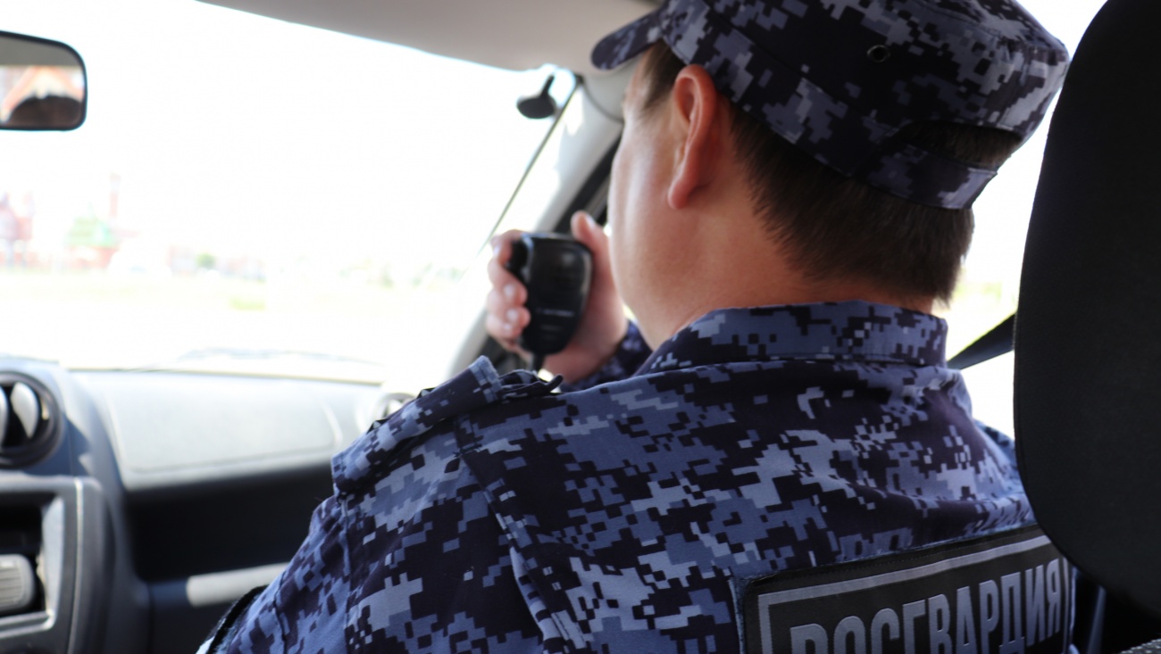 Сотрудники Росгвардии задержали жителя Волжска, объявленного в федеральный розыск