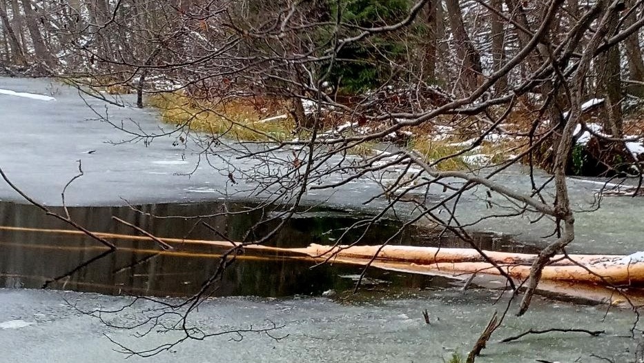 Озёра Национального парка «Марий Чодра» покрываются льдом