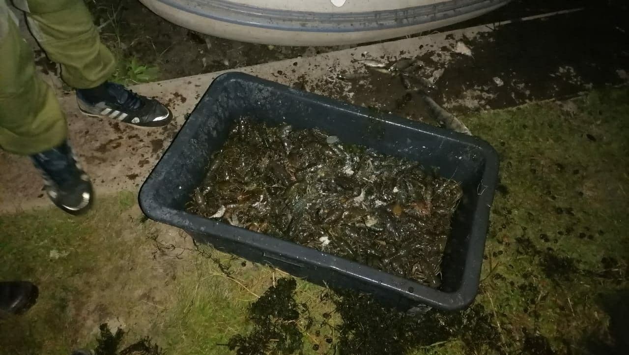 Жителя Нижегородской области осудили за незаконный вылов раков в Марий Эл