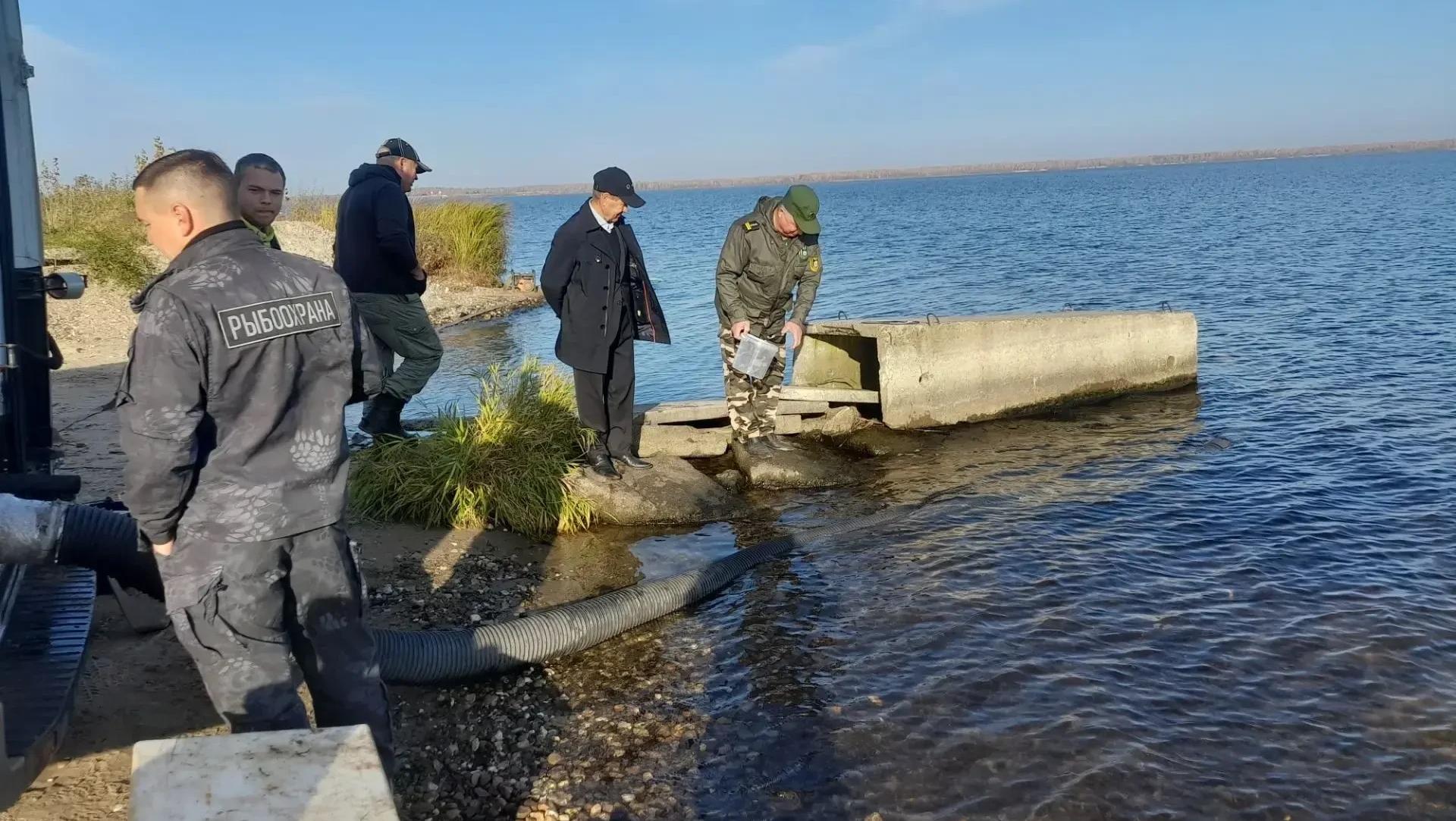 В Марий Эл в Чебоксарское водохранилище выпустили мальков стерляди