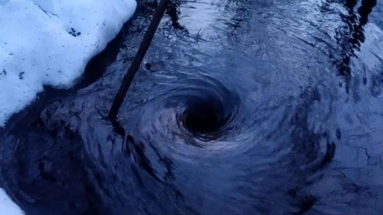 В Марий Эл половодье накрыло заповедник «Большая Кокшага»