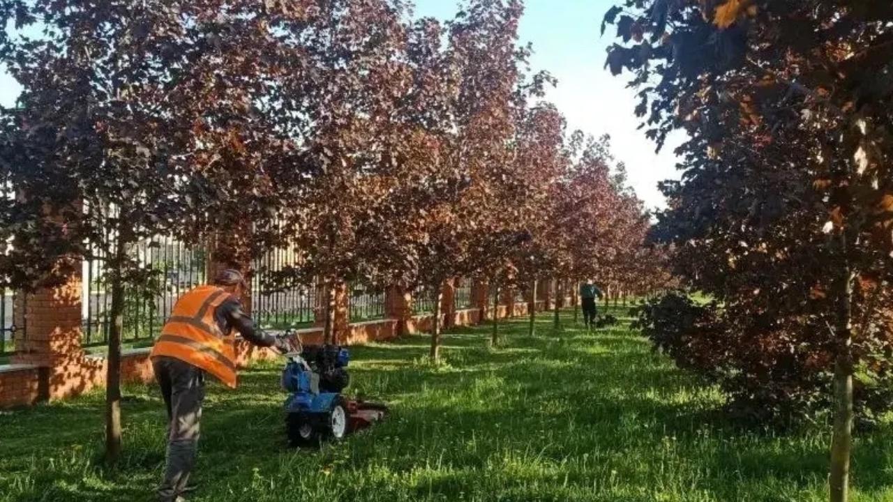За порядком в скверах и парках Йошкар-Олы следит отдельная подрядная организация