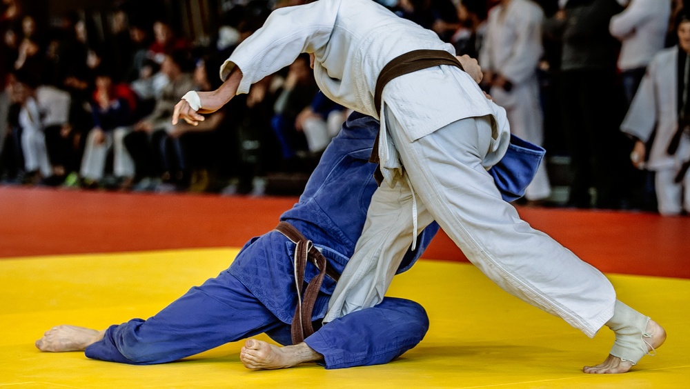 В Марий Эл на Сабантуй приедут 100 профессиональных борцов