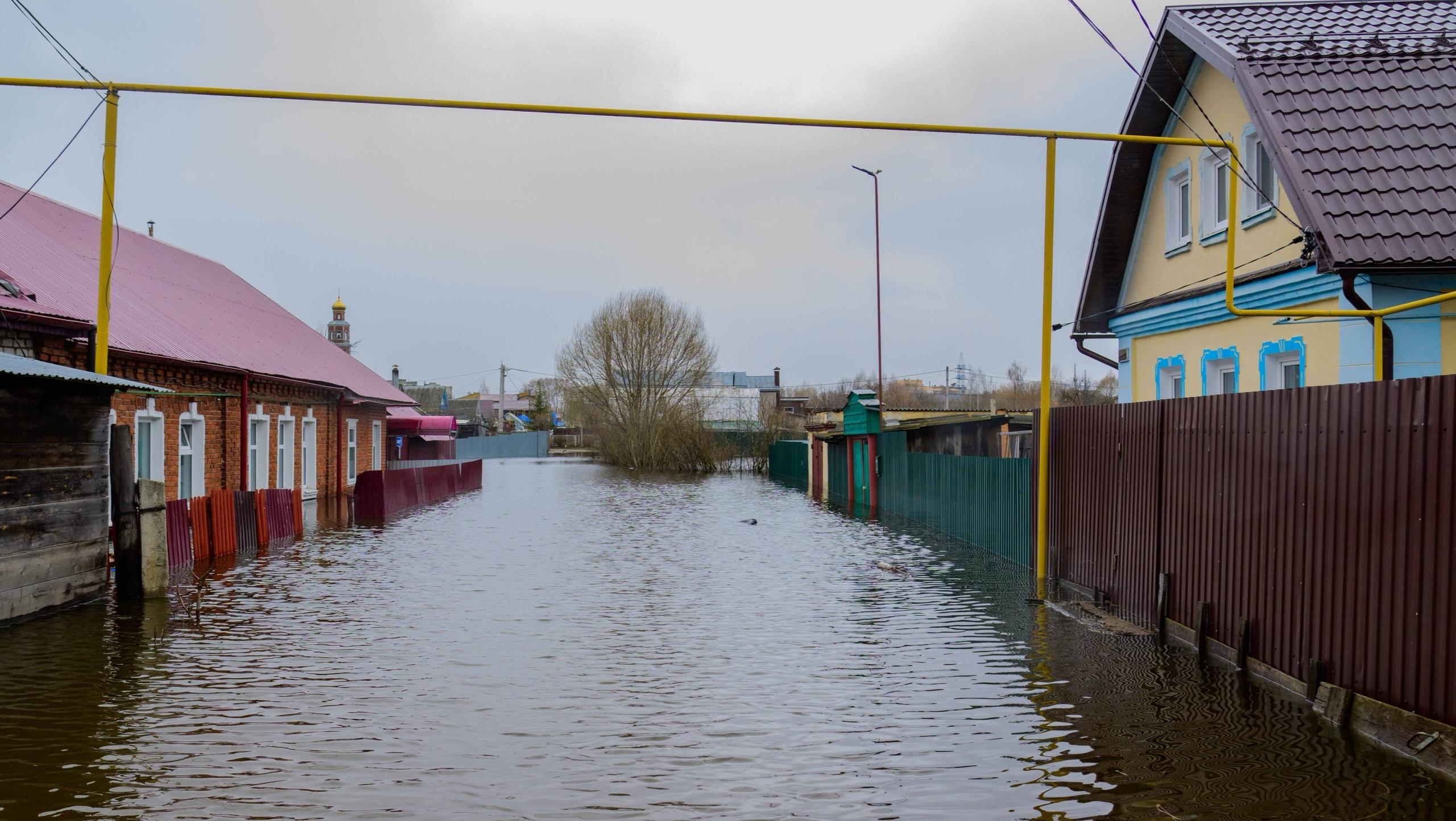 Глава Марий Эл посетил подтопленный Волжск