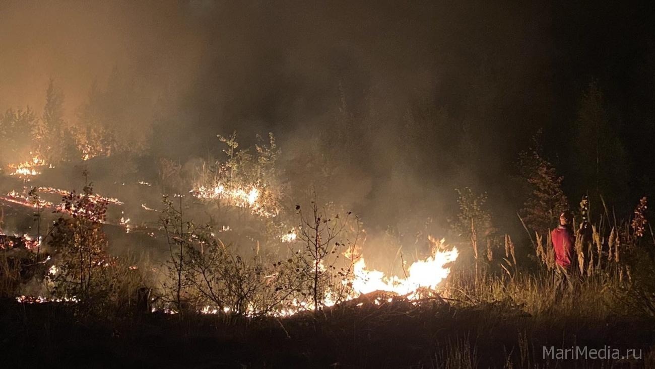 В лесах Марий Эл закончился пожароопасный сезон
