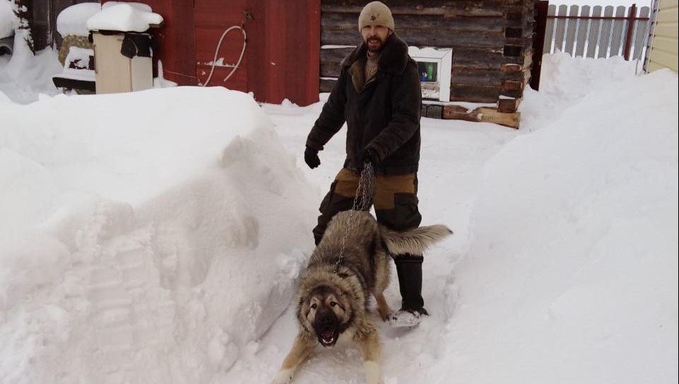 В Медведевском районе пропал 36-летний мужчина с четвероногим другом