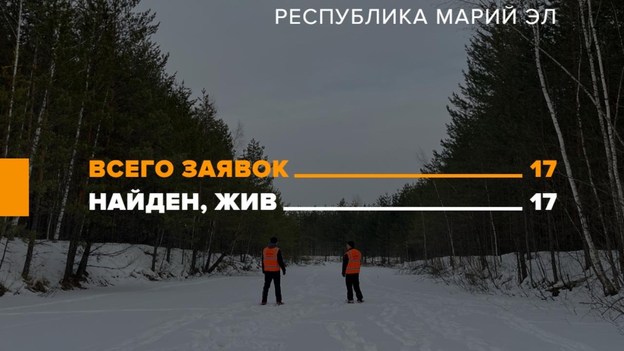 В декабре всех пропавших в Марий Эл нашли живыми