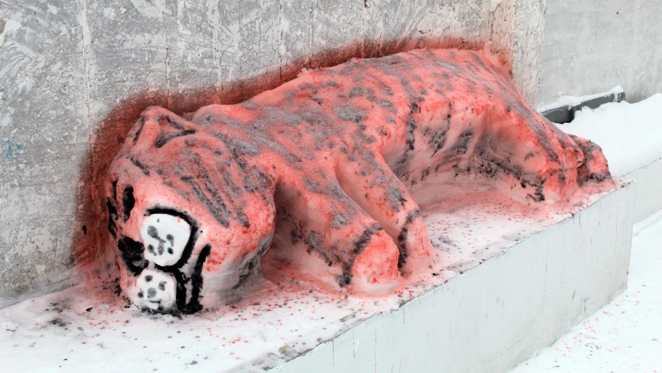 В Марий Эл в исправительной колонии № 4 появился тигр