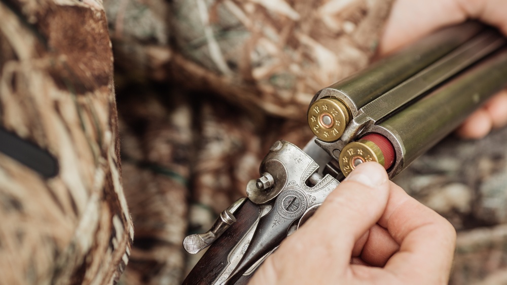 В Моркинском районе Марий Эл браконьеры подстрелили лося и кабана