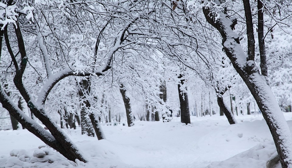 Новогодней ночью в Марий Эл ожидается метель