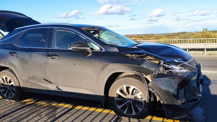 В Марий Эл два человека погибли в ДТП