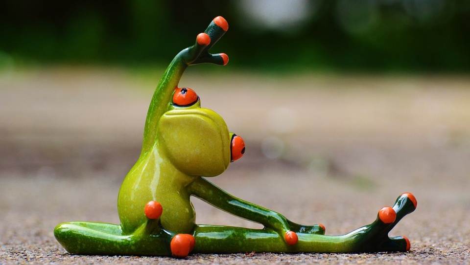 Сегодня йошкаролинцев приглашают на массовый флэшмоб-зарядку