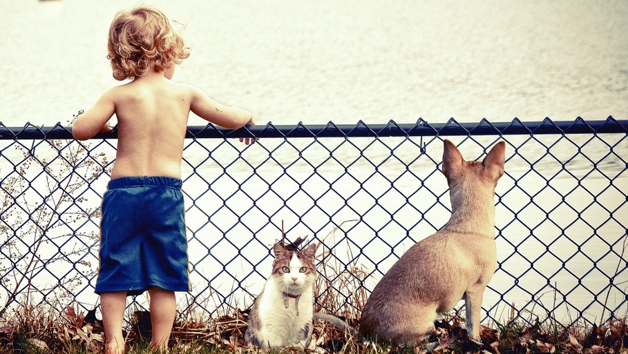 Ребята и зверята – домашние питомцы и хлопоты