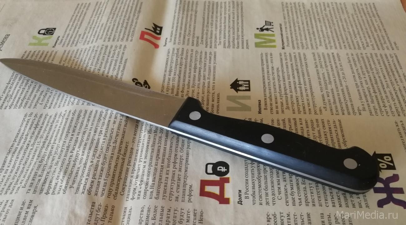 Жительница Волжска проведёт в колонии 2 года за один удар ножом