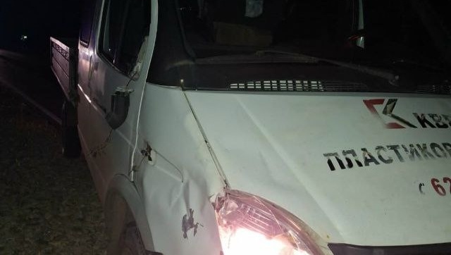 В Куженерском районе водитель «Газели» сбил пьяного пешехода