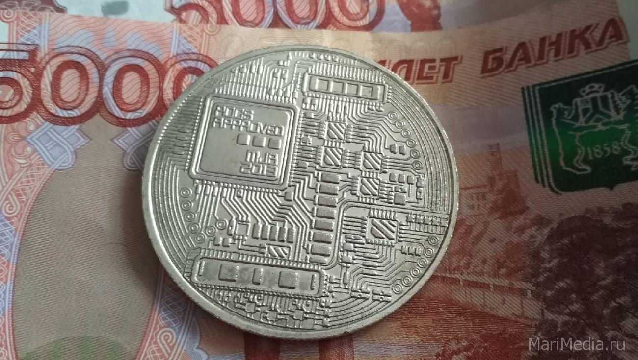 Две йошкаролинки прогорели на инвестициях