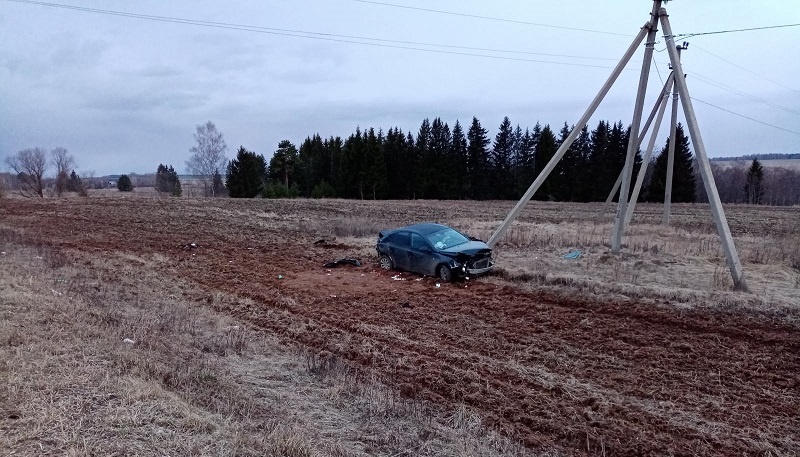 В Марий Эл иномарка съехала в кювет и врезалась в опору ЛЭП