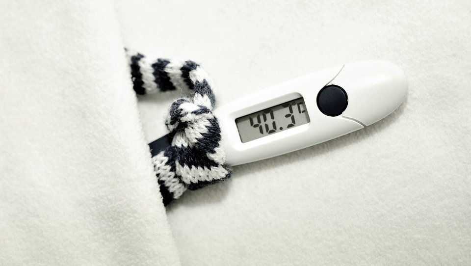 В Марий Эл две школы закрылись на карантин