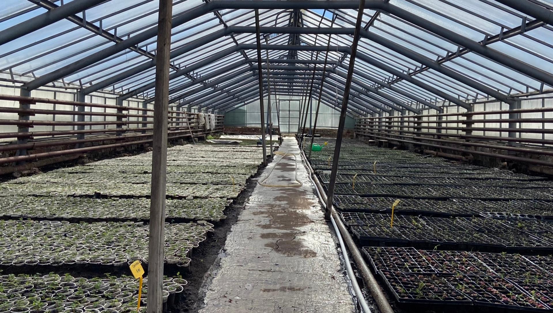 На набережной Йошкар-Олы установят более 50 новых вазонов с цветами