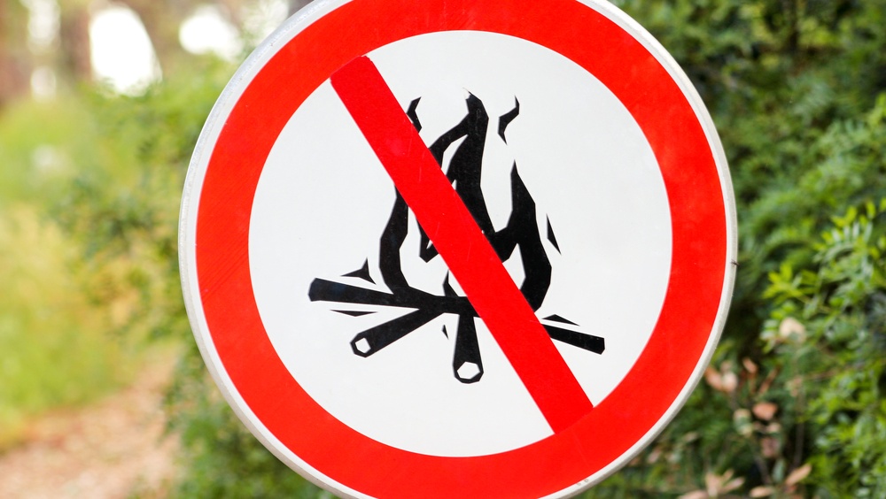 В Марий Эл за разведение костров в лесу могут оштрафовать на 50 тысяч рублей