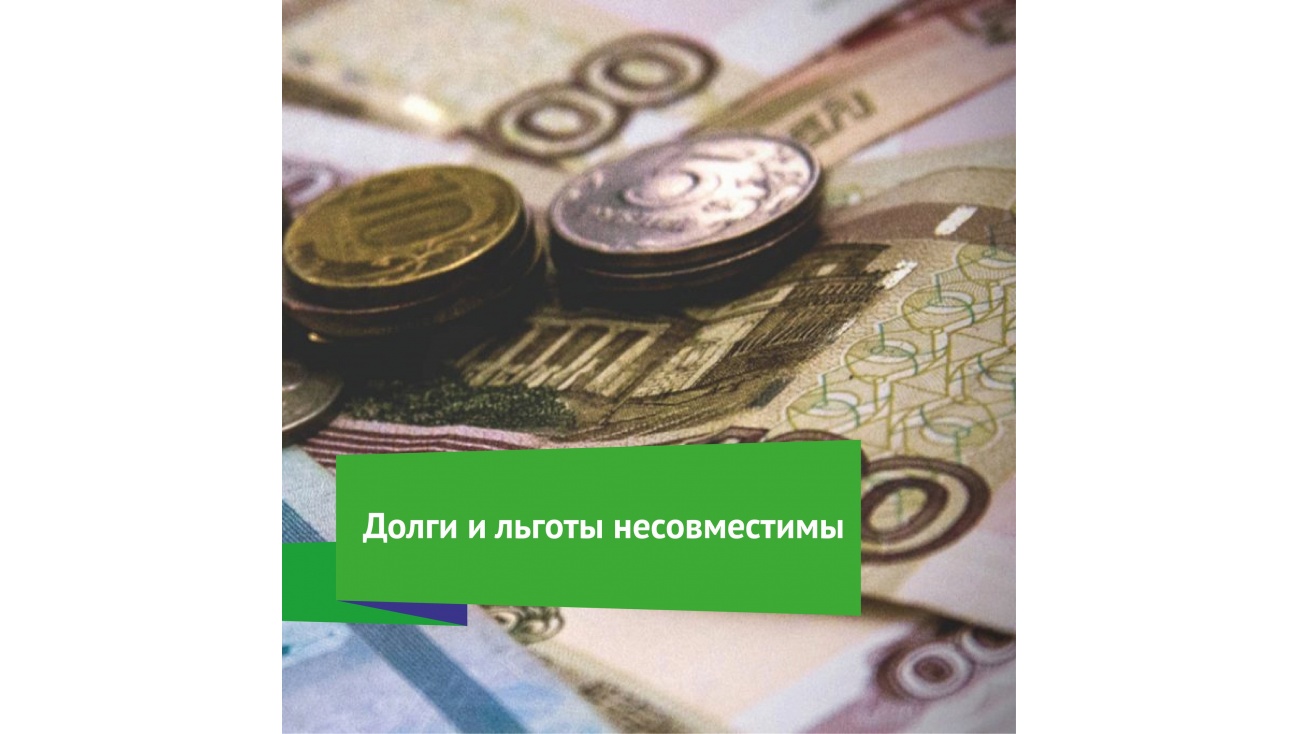 «ТНС энерго Марий Эл»: долги и льготы несовместимы