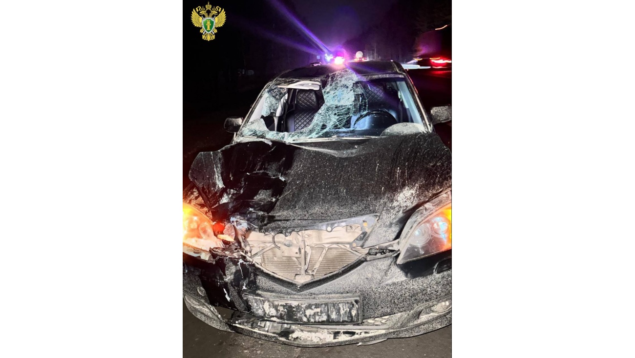 В Марий Эл на Казанском тракте произошло смертельное ДТП