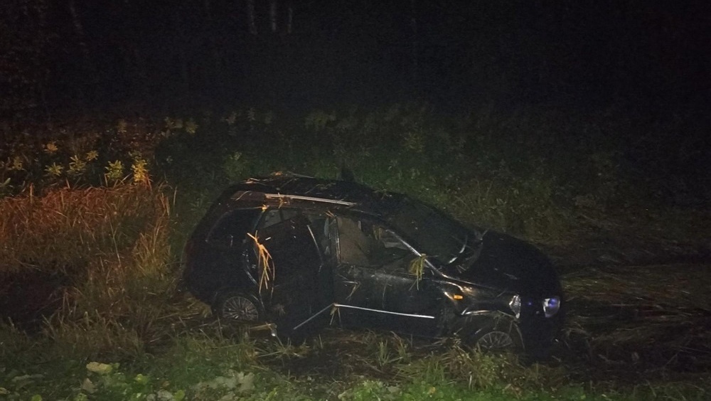 В Медведевском районе Lada Kalina съехала в кювет и перевернулась