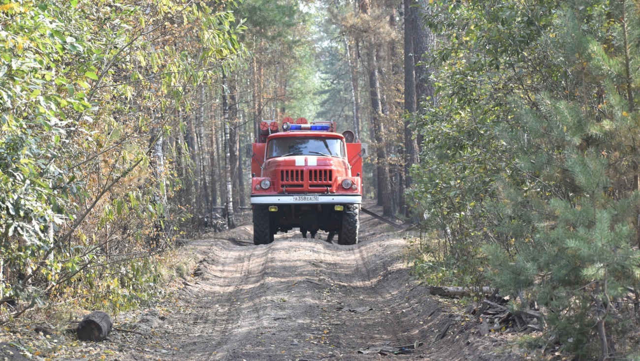На предупреждение лесных пожаров в Марий Эл выделено 11,5 миллионов рублей