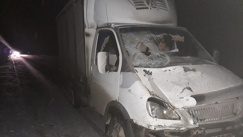 На трассе Марий Эл в тёмное время погиб пешеход