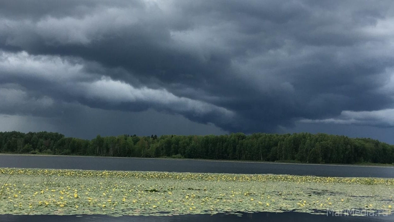 Завтра в Марий Эл прогнозируют грозу с сильным ветром