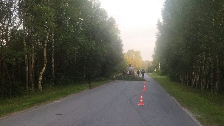 В Килемарском районе в дорожной аварии разбился 20-летний парень