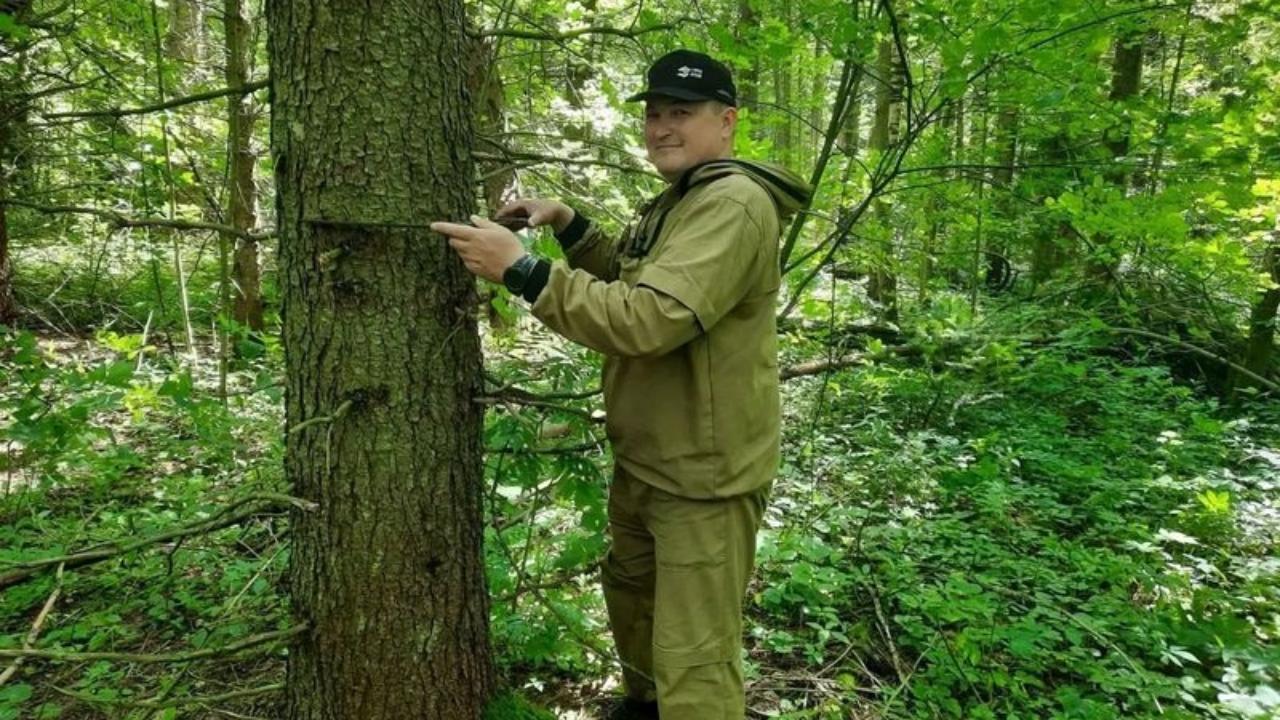 В Марий Эл создают памятник природы «Роща героев»