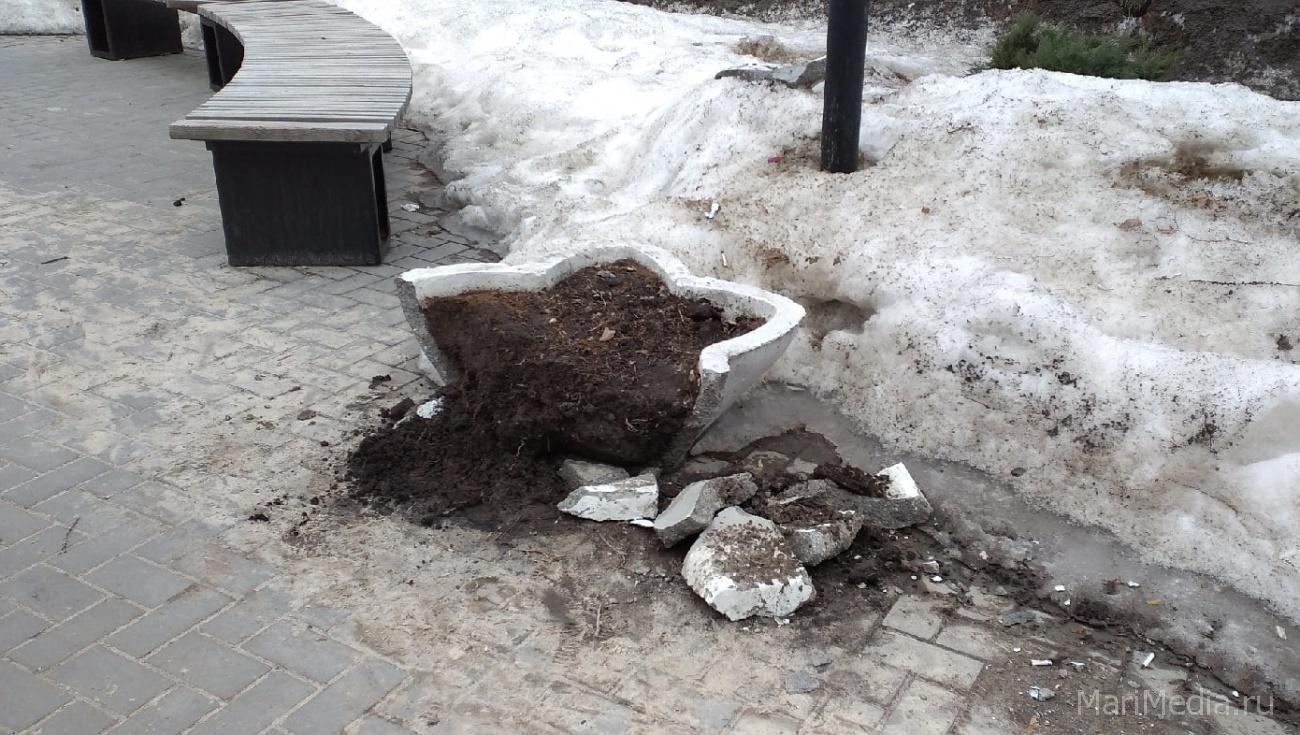 Кто разбил цветочные вазоны на бульваре Чавайна