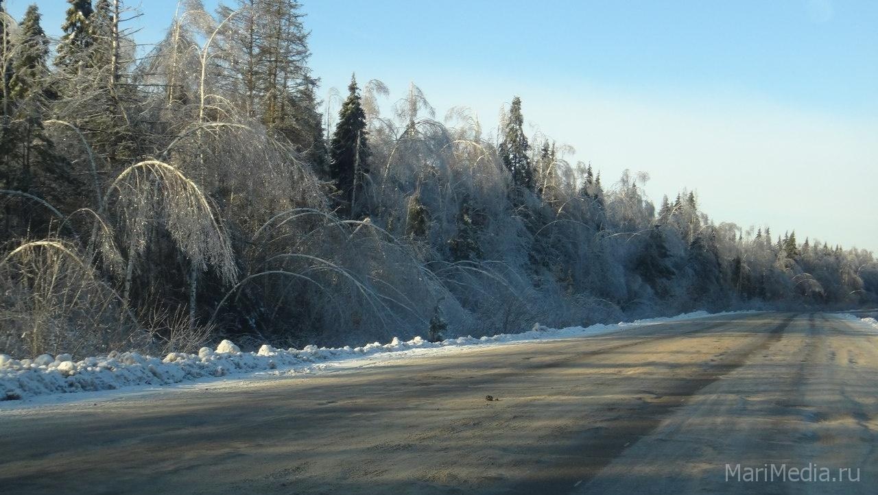 В Марий Эл вечером на несколько часов перекроют загородные автодороги