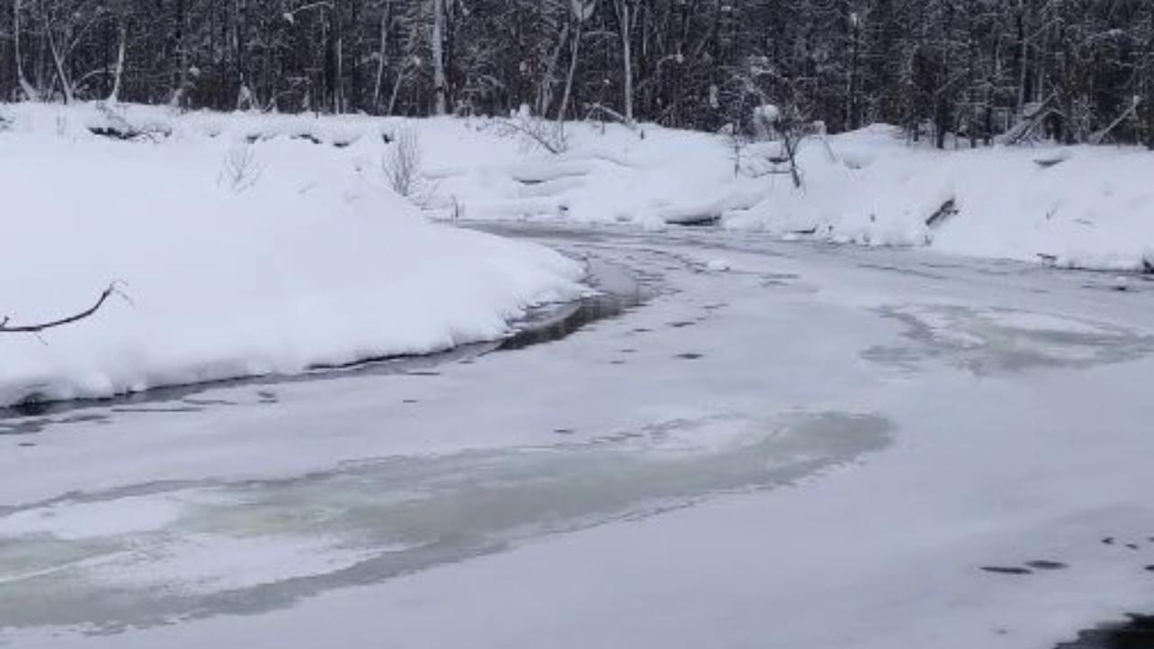 На водоёмах Марий Эл стало очень опасно