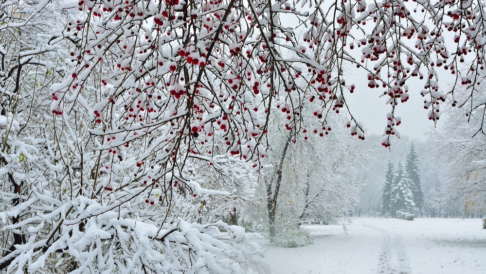 Морозы задержатся в Марий Эл ещё на несколько дней