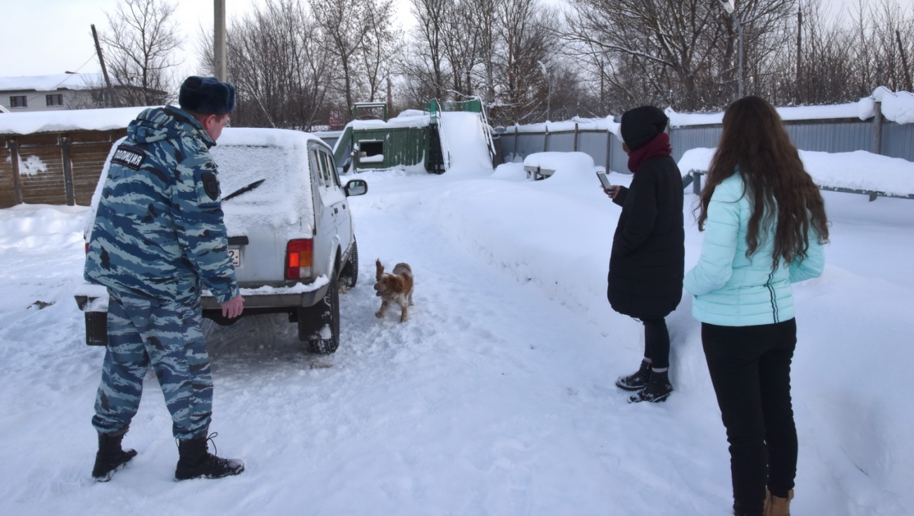 В Марий Эл студенты строительного техникума пообщались со служебными собаками