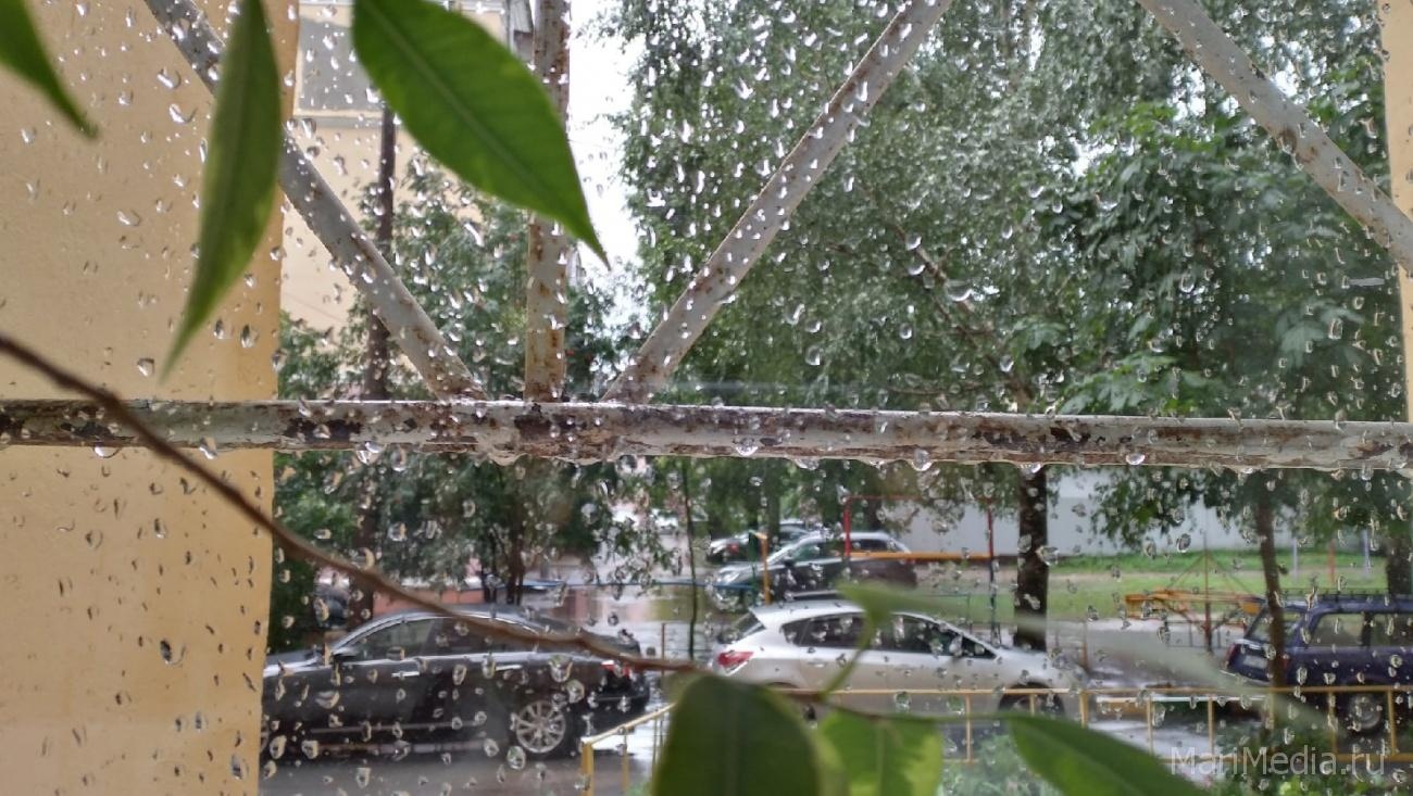 В Марий Эл в выходные обещают дожди