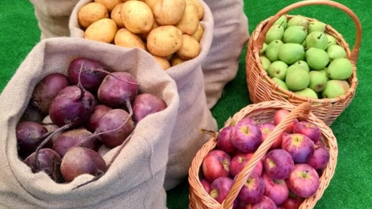 В честь праздника марийских аграриев в Йошкар-Оле пройдёт фермерская ярмарка