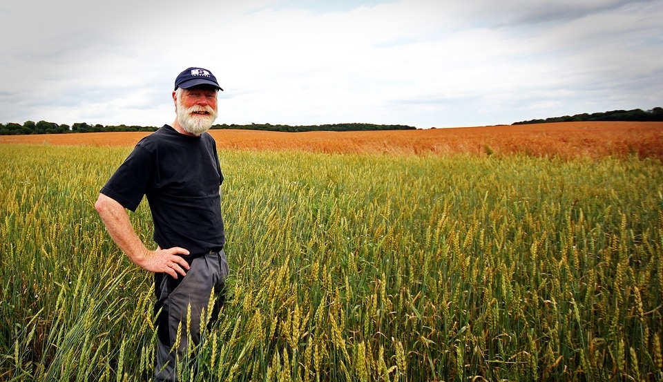 В Марий Эл 9846 пенсионеров получают надбавку за «сельский» стаж