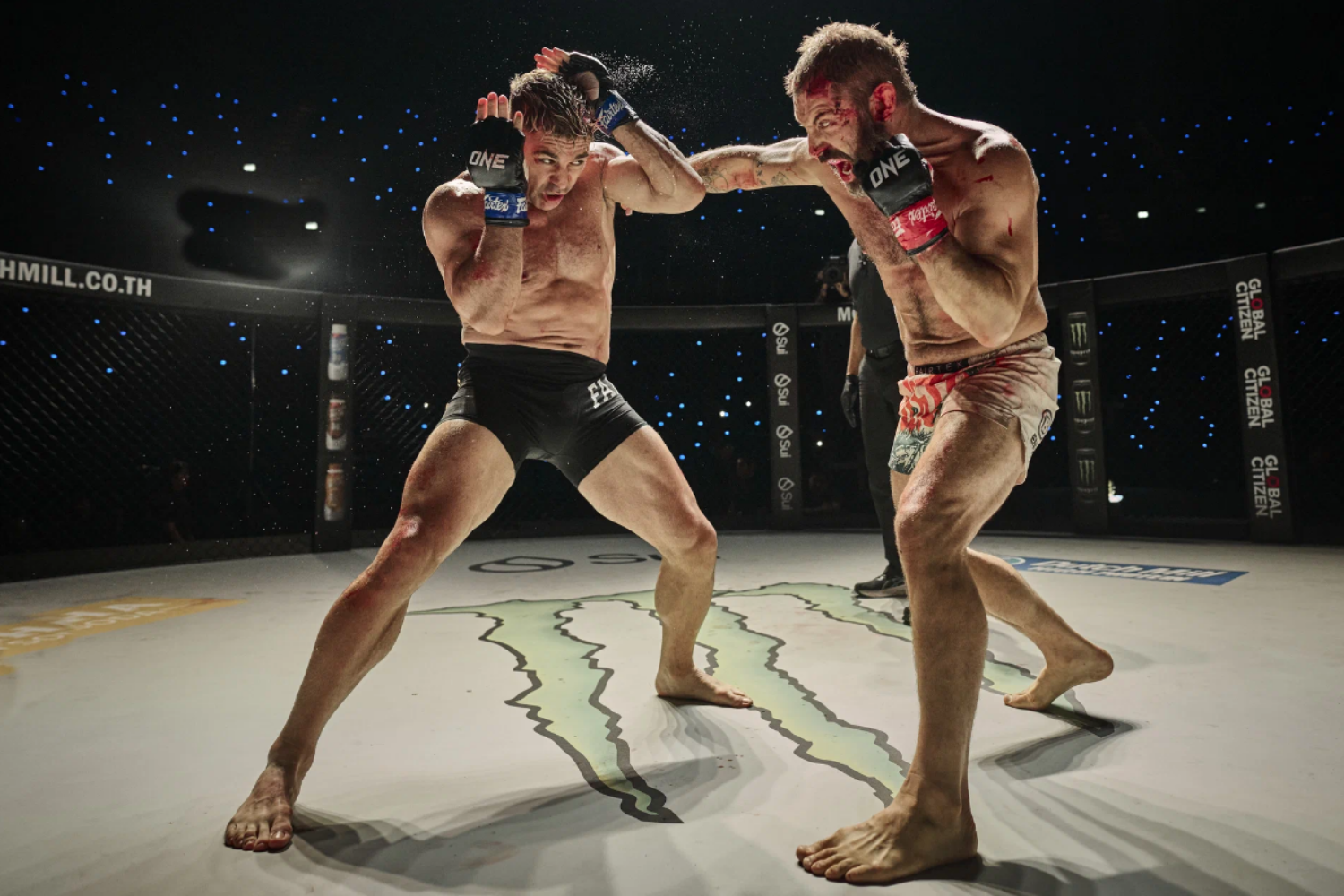 Бой со зверем