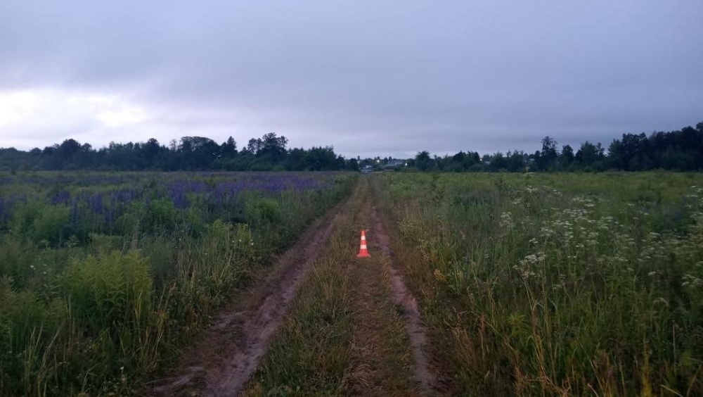 В «Малиновке» 15-летняя девочка-подросток перевернулась на квадроцикле