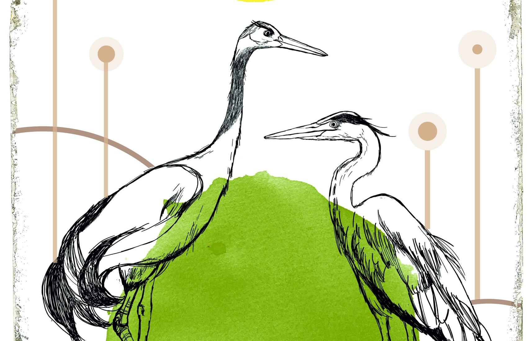 В Йошкар-Олу едет один из крупнейших театров кукол в стране 