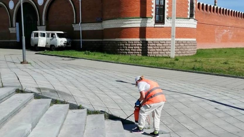 На борьбу с сорняками на набережной и площадях Йошкар-Олы пустили гербициды
