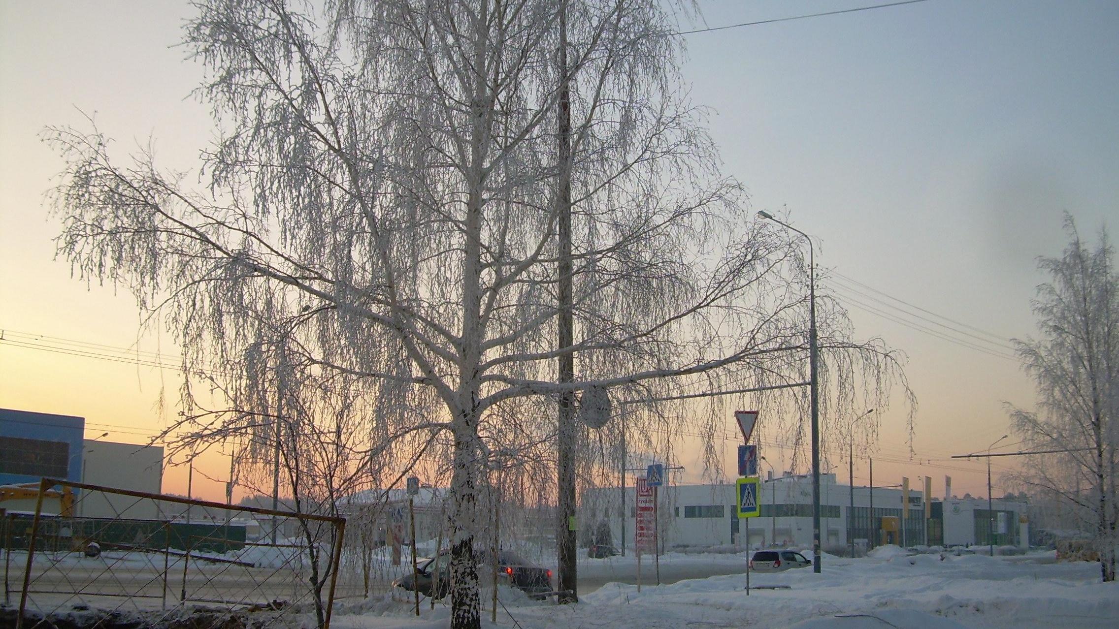 В Марий Эл возвращаются морозы