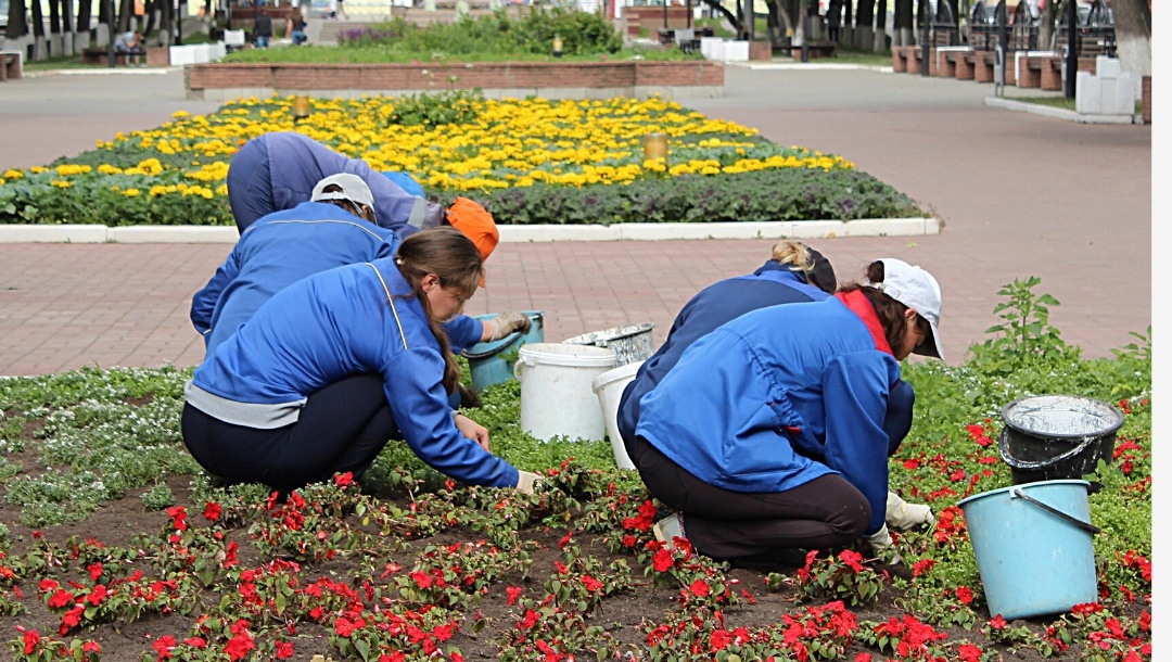 В Йошкар-Оле начался посев семян цветов для городских клумб
