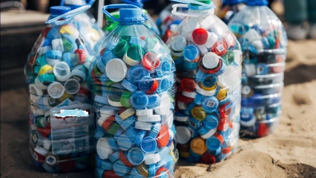 В Волжске выпустят в реку 10-рублёвых поедателей патогенных сине-зелёных водорослей