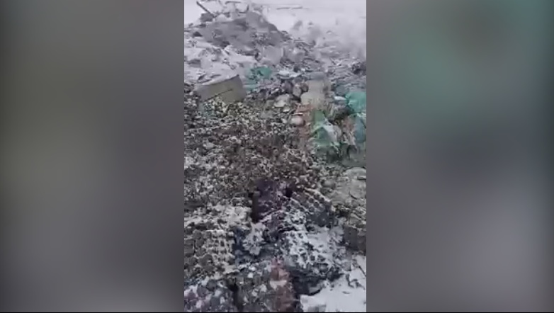 В Омской области обнаружена свалка куриных яиц