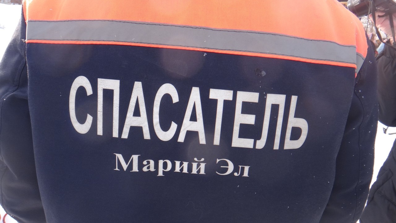 В Марий Эл участник сплава пошёл искать в лес свою собаку и заблудился