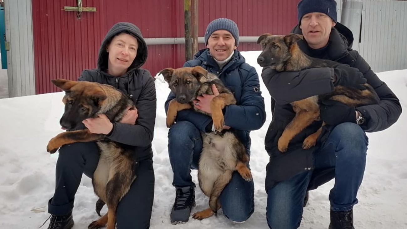 В Марий Эл привезли щенков из племенного питомника служебного собаководства